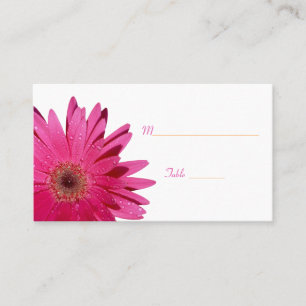 Roze Gerbera Daisy Witte Plaats Kaart Plaatskaartje