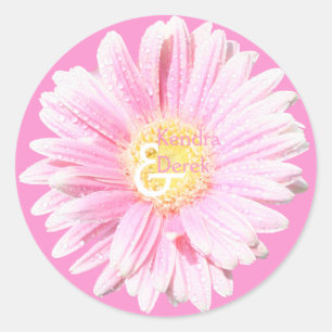 Roze Gerbera Envelope Seal (optionele achtergrond) Ronde Sticker