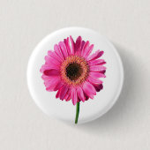 Roze Gerbera Flower Button / Badge (Voorkant)