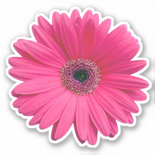 Roze Gerbera Madeliefje Bloem Kiss-cut Sticker (Voorkant)