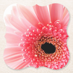 Roze Gerbera Madeliefje Kartonnen Onderzetters