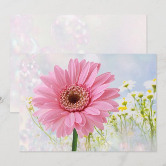 Roze Gerbera-madeliefje voor elke gelegenheid Uitn Kaart (Voorkant / Achterkant)