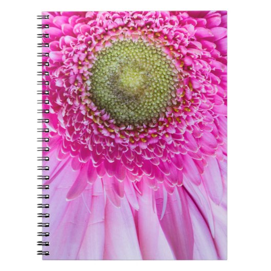 Roze Gerbera Madeliefjes Notitieboek (Voorkant)