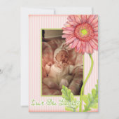 Roze Gerbera-margriet Foto Geboorteaankondiging Aankondiging (Voorkant)