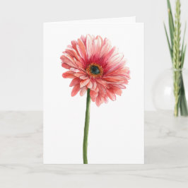 Roze Gerbera Marguerite Watercolor Tuin Natuurlief Kaart