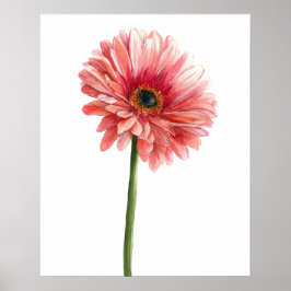 Roze Gerbera Marguerite Watercolor Tuin Natuurlief Poster