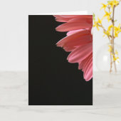Roze Gerbera op Zwarte Kaart (Gele Bloem)