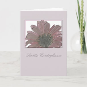 roze gerbera sympathie italiaans kaart
