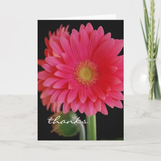 Roze Gerbera Tulp Dankkaart Bedankkaart (Voorkant)