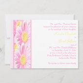 Roze Gerberas over de uitnodiging tot het indienen (Achterkant)