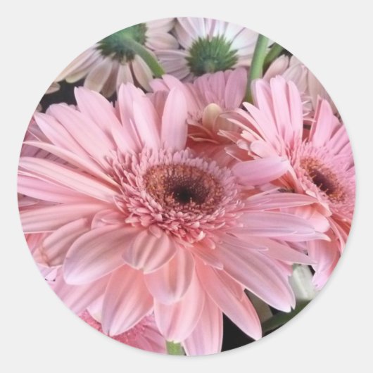 roze gerbera's ronde sticker (Voorkant)