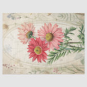 Roze geschilderde madelief Pyrethrum botanische bl Tissuepapier (Voorkant)
