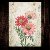 Roze geschilderde madelief Pyrethrum botanische bl Tissuepapier