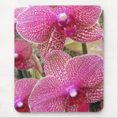 Roze gespikkelde falaenopsis Orchids Floral Muismat (Voorkant)