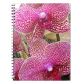 Roze gespikkelde falaenopsis Orchids Floral Notitieboek (Voorkant)