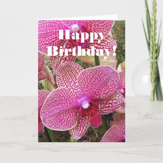 Roze gespikkelde moth Orchids Floral Birthday Kaart (Voorkant)