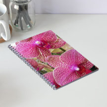 Roze gespikkelde Phalaenopsis Orchideeën Bloemen