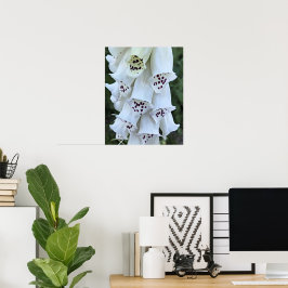 Roze gespikkelde witte vingerhoedskruid bloem poster