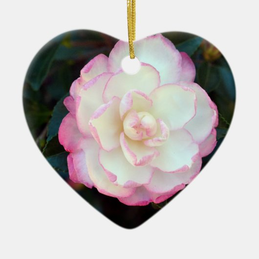 Roze getipt Camellia-053 Ornament (Voorkant)