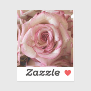 Roze Getipte Witte Roos Aangepaste Vinyl Sticker
