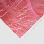 Roze gevederde kroon glamour decoupage tissuepapier (Detail)