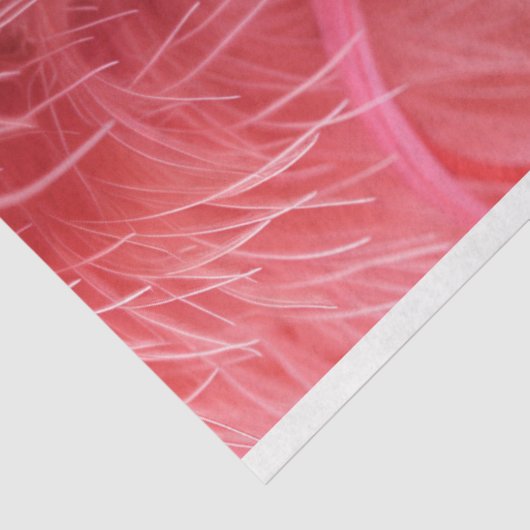 Roze gevederde kroon glamour decoupage tissuepapier (Detail)