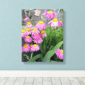 Roze geverfde daisy Flowers Natuur fotografie Canvas Afdruk (Insitu (Houten vloer))