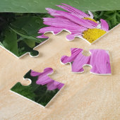 Roze geverfde daisy Flowers Natuur fotografie Legpuzzel (Zijkant)