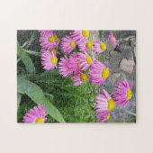 Roze geverfde daisy Flowers Natuur fotografie Legpuzzel (Horizontaal)