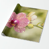 Roze gevlekte orchidee cadeaupapier (Uitgerold)