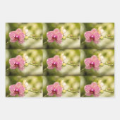 Roze gevlekte orchidee inpakpapier vel (Voorkant 2)