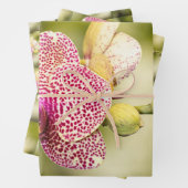 Roze gevlekte orchidee inpakpapier vel (In situ)