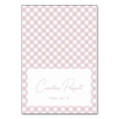 Roze gingham babyshower naam plaats kaart (Voorkant)