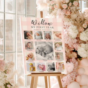 Roze Gingham Eerste Verjaardag Foto Tijdlijn Poster