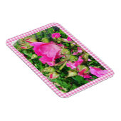 Roze Gingham Plaid Rozen Tuin Foto Magneet (Rechterzijde)
