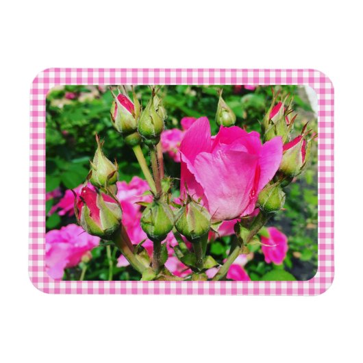 Roze Gingham Plaid Rozen Tuin Foto Magneet (Horizontaal)