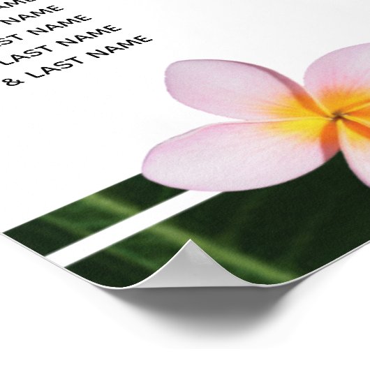 Roze gipsplaat voor peterijen poster (Hoek)