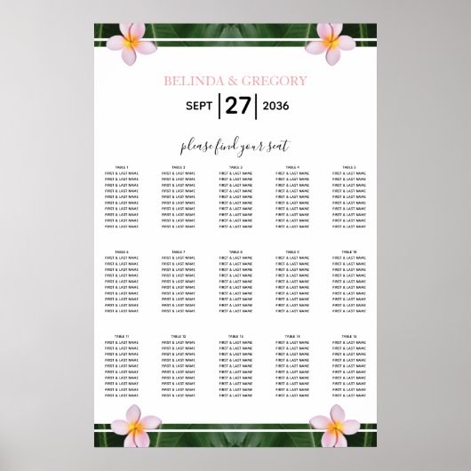 Roze gipsplaat voor peterijen poster (Voorkant)