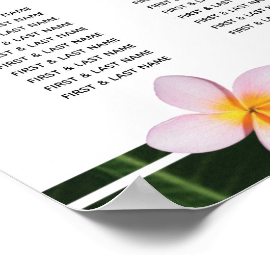 Roze gipsplaat voor peterijen poster (Hoek)