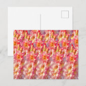 Roze Gladiolus Briefkaart (Voorkant / Achterkant)
