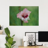 roze Gladiolus Flower Art Poster (Thuiskantoor)