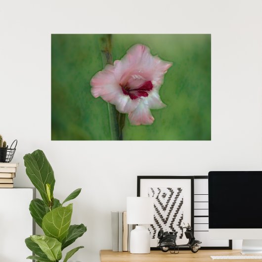 roze Gladiolus Flower Art Poster (Thuiskantoor)