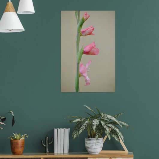 Roze Gladiolus Glad Bloem Profiel Kunst Poster (Woonkamer 1)