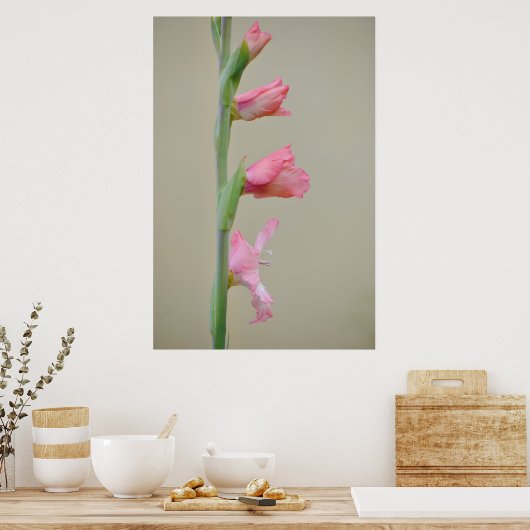 Roze Gladiolus Glad Bloem Profiel Kunst Poster (Keuken)