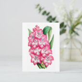 Roze Gladiool Vintage Botanische Briefkaart (Staand voorkant)