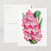 Roze Gladiool Vintage Botanische Briefkaart (Voorkant / Achterkant)