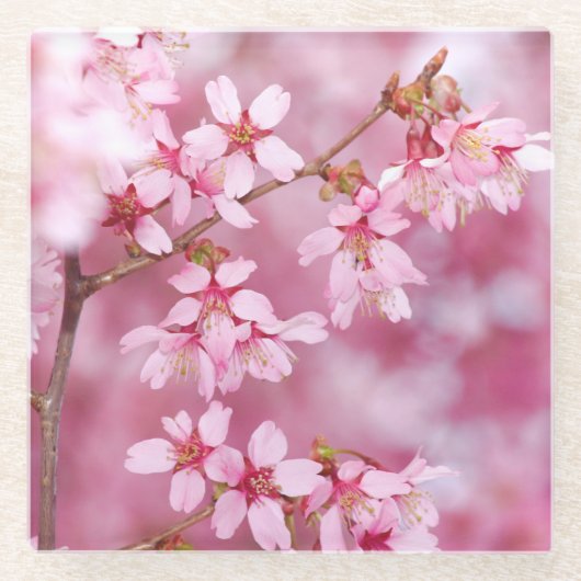 Roze Glas Coster Glazen Onderzetter (Voorkant)