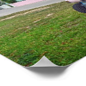 Roze golfkar in de Bahama's Poster (Hoek)