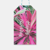 Roze Good Luck Plant Cadeaulabel (Voorkant)