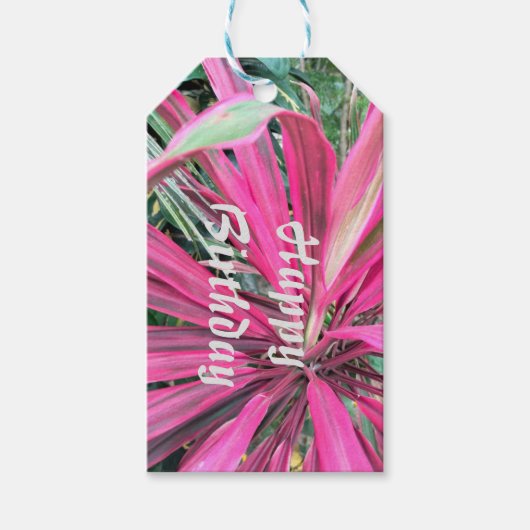 Roze Good Luck Plant Cadeaulabel (Voorkant)